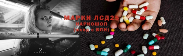 ешки Новозыбков