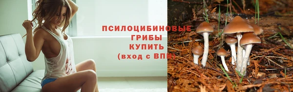 марки lsd Новокубанск