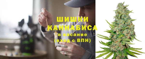 винт Инта