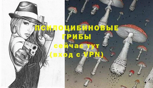 гидропоника Новодвинск