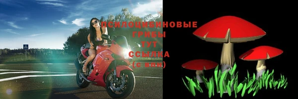 гидропоника Новодвинск
