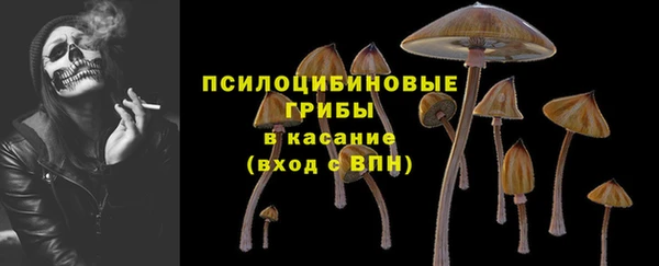 гидропоника Новодвинск