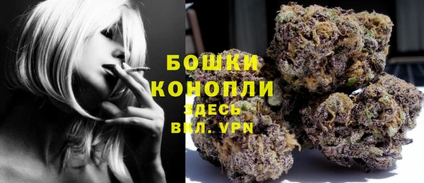 ешки Новозыбков