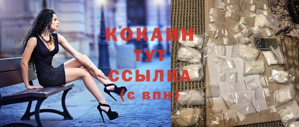 ешки Новозыбков
