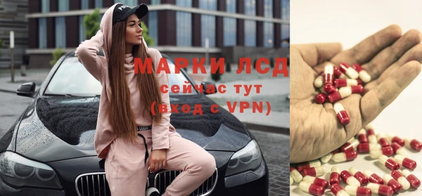 ешки Новозыбков