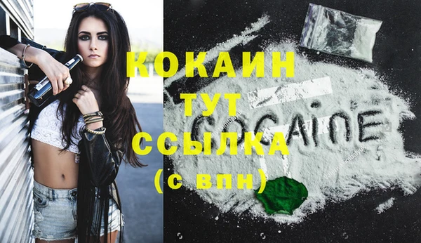 ешки Новозыбков
