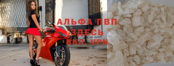 ешки Новозыбков