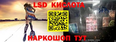 гидропоника Апшеронск