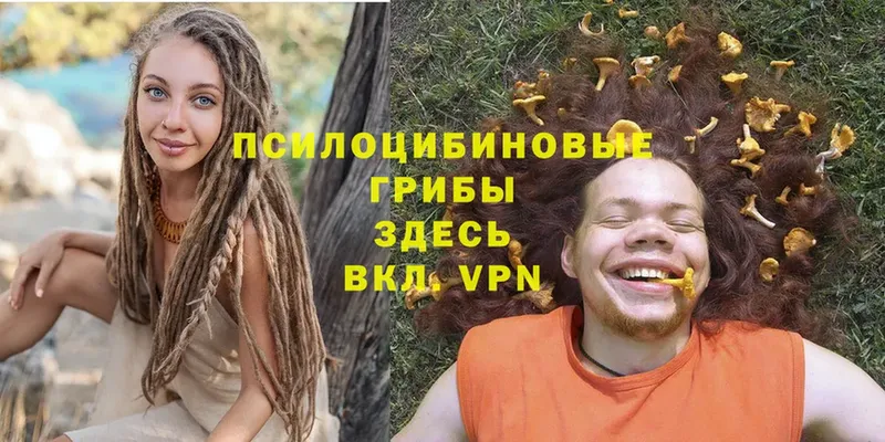 Псилоцибиновые грибы Magic Shrooms  Кондопога 