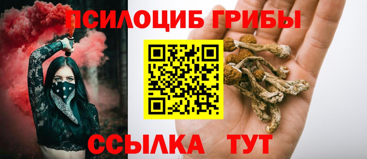 Псилоцибиновые грибы мухоморы  Псилоцибиновые грибы Psilocybine cubensis  Кондопога 