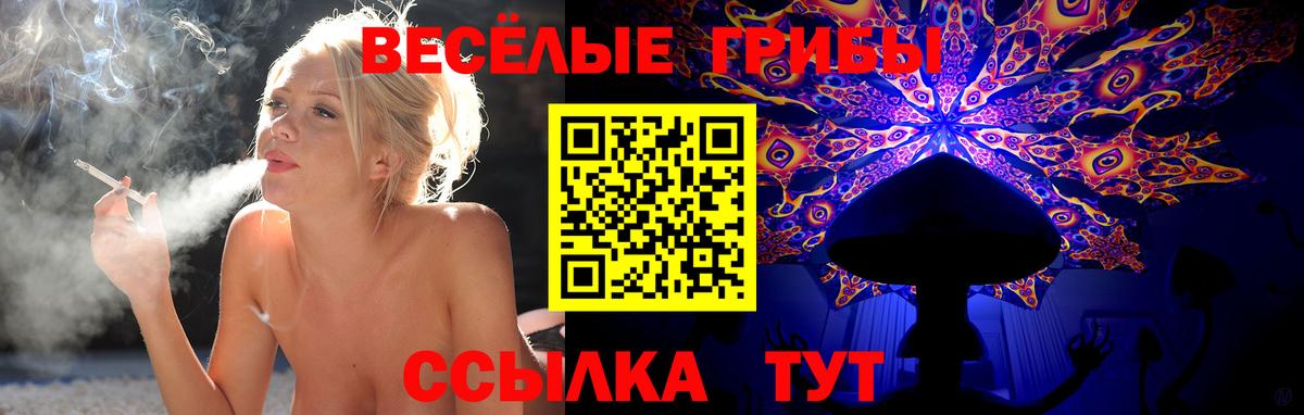 Галлюциногенные грибы GOLDEN TEACHER  Вход с VPN  Кондопога 