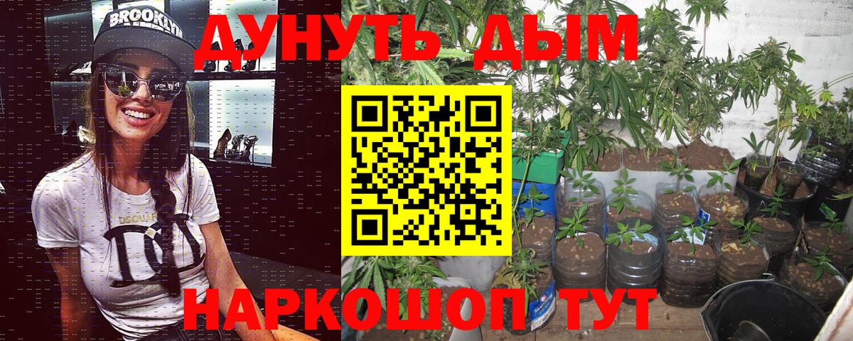 Марихуана Ganja  Кондопога  Бошки Шишки Bruce Banner  Каннабис Ganja 